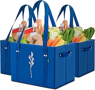 The $15 Grocery Bag That Actually Holds Everything