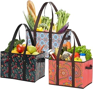 The Grocery Bag That Actually Has Its Life Together