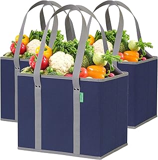 The Grocery Bag That Finally Has It Together